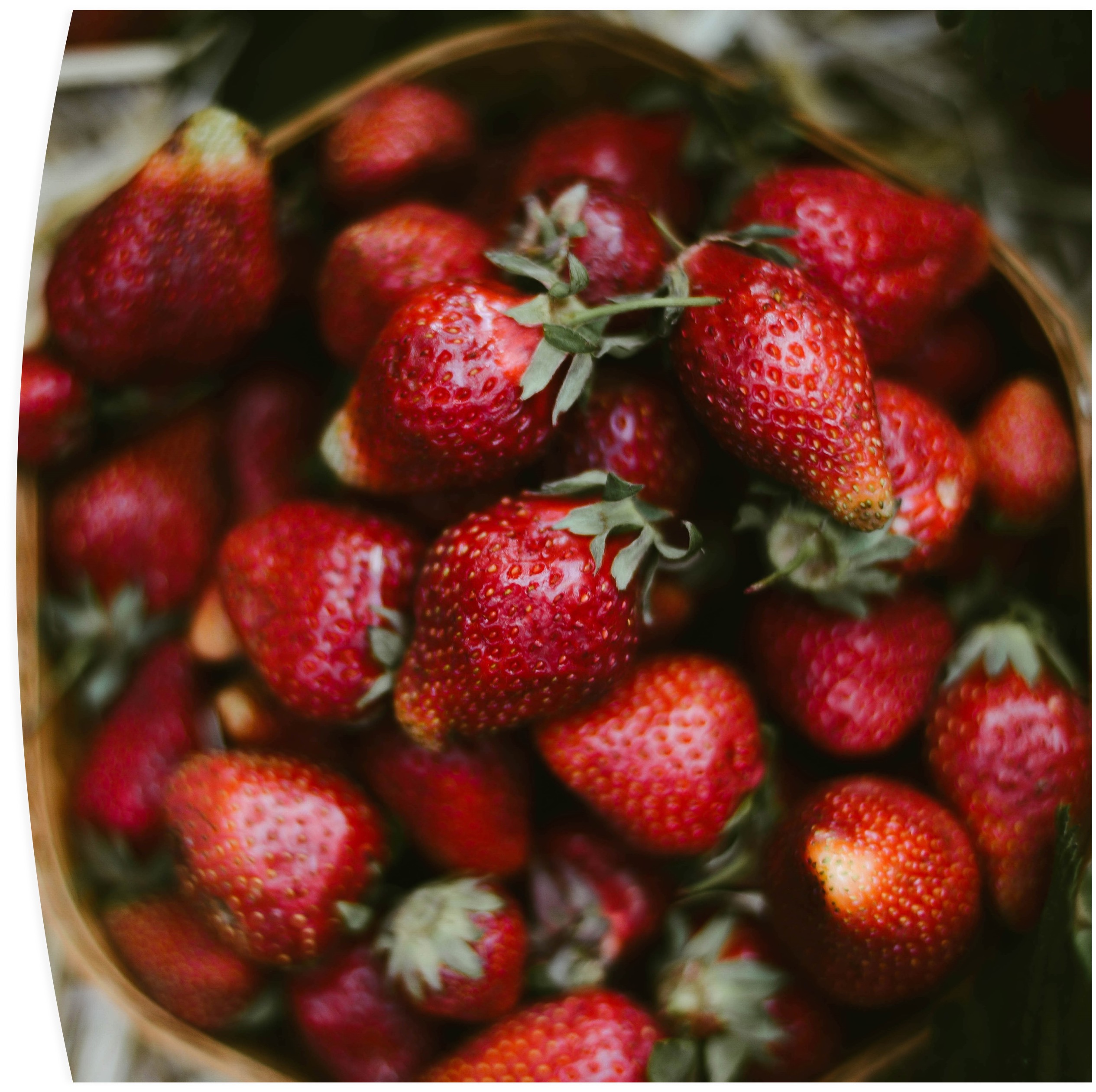 Keeping Potassium in Check A CKD Patient's Guide Samantha Podob