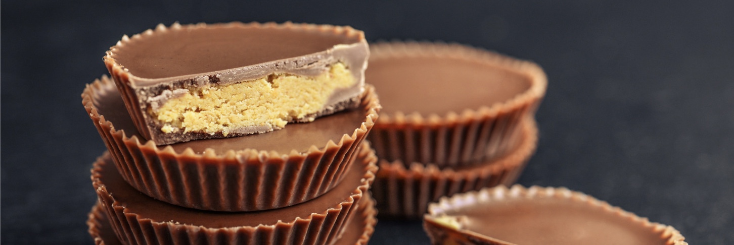 Dark Chocolate Peanut Butter Bites